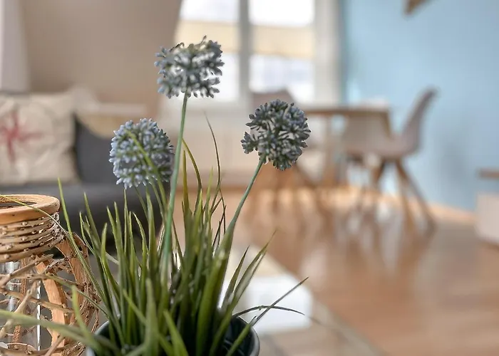 Waterkant Wohnung 21 - Netzboden